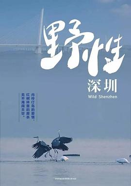 中国大陆纪录片《野性深圳》高清下载-八六三纪录片资源网