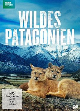 帕塔哥尼亚:神秘天堂 Patagonia: Earth's Secret Paradise的海报
