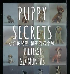 小汪的秘密:初生的六个月 Puppy Secrets: The First Six Months的海报