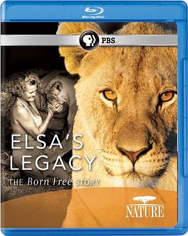 PBS:自然 - 艾尔莎的遗产:生而自由的故事 Elsa's Legacy: The Born Free Story的海报