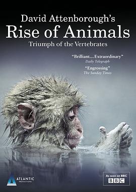 动物的崛起:脊椎动物的胜利 David Attenborough's Rise of Animals: Triumph of the Vertebrates的海报