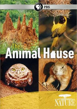 英国纪录片《自然世界：动物之家 The Natural World: Animal House》高清下载-八六三纪录片资源网