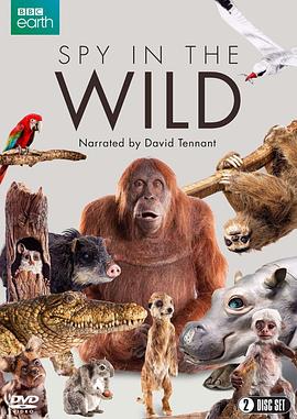 荒野间谍 第一季 Spy in the Wild Season 1的海报