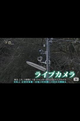 日本纪录片《纪实72小时：金刚山的实摄像头 ドキュメント72時間 金剛山 ライブカメラの山頂で》高清下载-八六三纪录片资源网