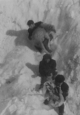 苏联纪录片《四季 Времена года》高清下载-八六三纪录片资源网