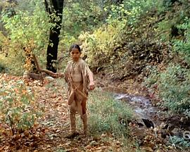 美国纪录片《锡安峡谷 Zion Canyon: Treasure of the Gods》高清下载-八六三纪录片资源网
