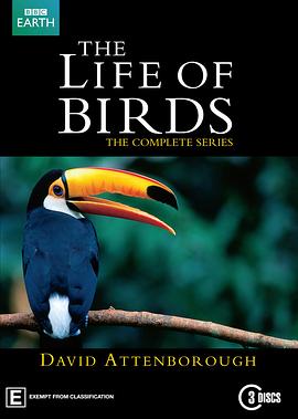 英国纪录片《野鸟世界 The Life of Birds》高清下载-八六三纪录片资源网
