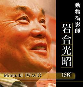 日本纪录片《2017NHK纪录片Professional-行家本色 动物摄影师岩合光昭 プロフェッショナル仕事の流儀 猫を知れば、世界が変わる 動物写真家・岩合光昭》高清下载-八六三纪录片资源网