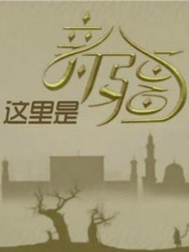 中国大陆纪录片《这里是新疆》高清下载-八六三纪录片资源网