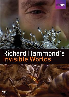 理查德·哈蒙德:看不见的世界 Richard Hammond's Invisible Worlds的海报