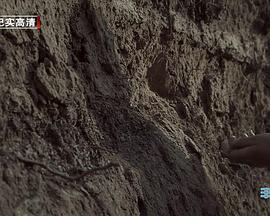 中国大陆纪录片《草原历史名城呼和浩特：丰州古城》高清下载-八六三纪录片资源网