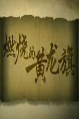 中国大陆纪录片《燃烧的黄龙旗》高清下载-八六三纪录片资源网