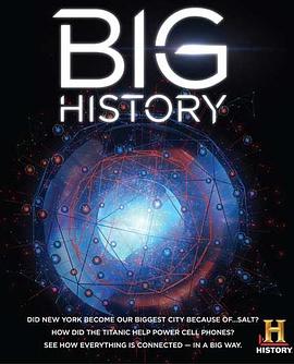 美国纪录片《历史频道：人类大历史 第一季 Big History Season 1》高清下载-八六三纪录片资源网