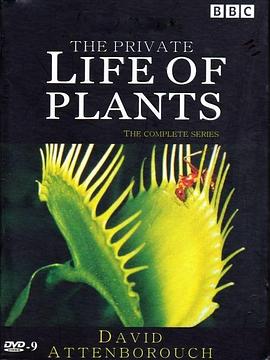英国纪录片《植物私生活 The Private Life of Plants》高清下载-八六三纪录片资源网