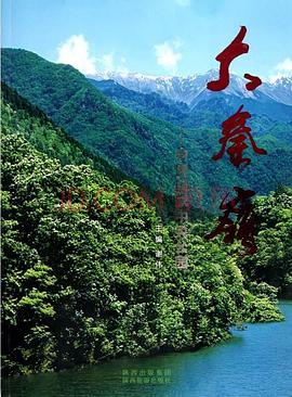 大秦岭的海报