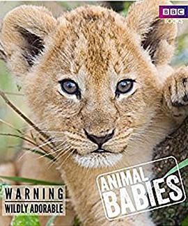 英国纪录片《动物宝宝 Animal Babies》高清下载-八六三纪录片资源网