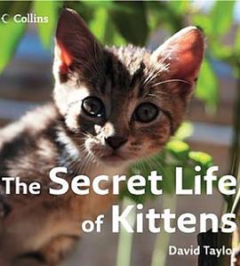 英国纪录片《小喵的秘密 第一季 The Secret Life of Kittens Season 1》高清下载-八六三纪录片资源网