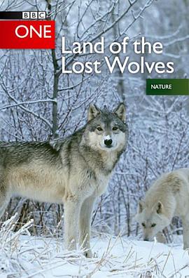 英国纪录片《狼群 失落的领地 Land of the Lost Wolves》高清下载-八六三纪录片资源网