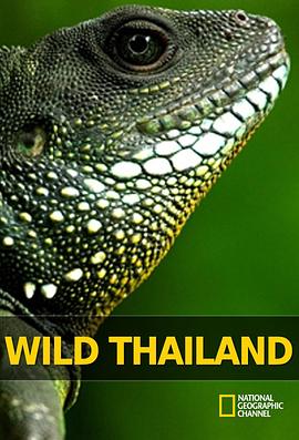 野性泰国 Wild Thailand的海报
