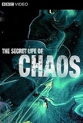 英国纪录片《神秘的混沌理论 The Secret Life of Chaos》高清下载-八六三纪录片资源网