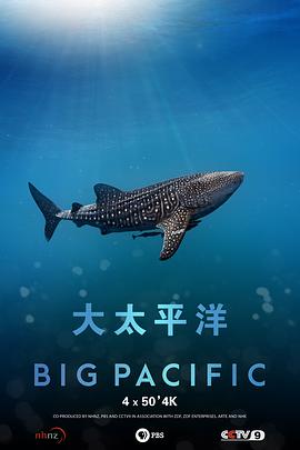美国，中国大陆，德国，新西兰纪录片《大太平洋》高清下载-八六三纪录片资源网