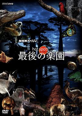 HOT SPOTS 最后的乐园 ホットスポット 最後の楽園的海报