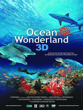 法国纪录片《海洋仙境 Ocean Wonderland》高清下载-八六三纪录片资源网