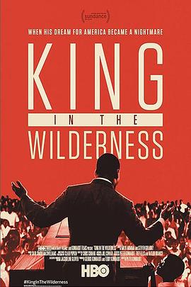 在野之金 King in the Wilderness的海报