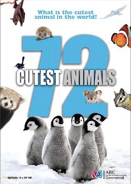 澳大利亚纪录片《72大可爱动物 72 Cutest Animals》高清下载-八六三纪录片资源网