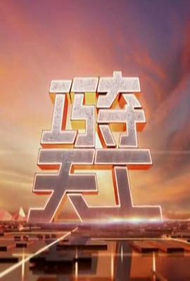 巧夺天工的海报