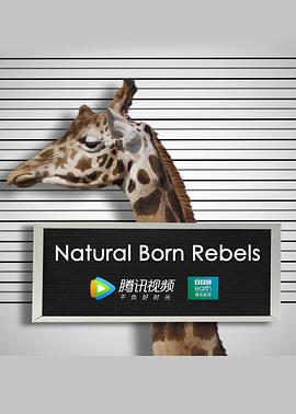 英国纪录片《你这个坏怂 Natural Born Rebels》高清下载-八六三纪录片资源网