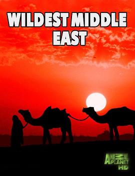 美国纪录片《中东野生大地 Wildest Middle East》高清下载-八六三纪录片资源网