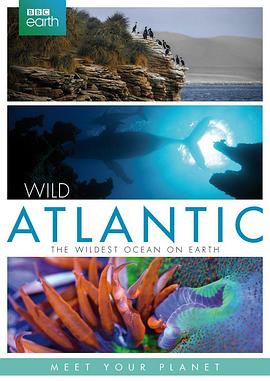 大西洋:地球最狂野的海洋 Atlantic: The Wildest Ocean on Earth的海报