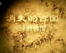 消失的古国:绿洲佛国的海报