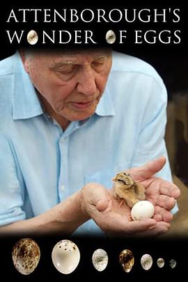 英国纪录片《大卫爱登堡：蛋的奇迹 Natural World: Attenborough's Wonder of Eggs》高清下载-八六三纪录片资源网
