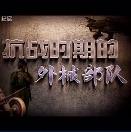 中国大陆纪录片《抗战时期的外械部队》高清下载-八六三纪录片资源网