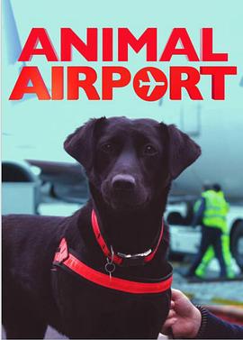 英国纪录片《机场动物秀 Animal Airport》高清下载-八六三纪录片资源网