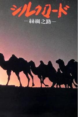 日本纪录片《新丝绸之路 新シルクロード》高清下载-八六三纪录片资源网