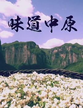 中国大陆纪录片《味道中原》高清下载-八六三纪录片资源网