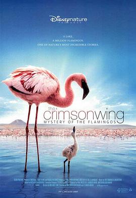 美国，英国纪录片《红色翅膀：火烈鸟故事 The Crimson Wing: Mystery of the Flamingos》高清下载-八六三纪录片资源网