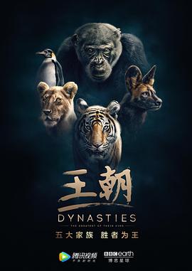 英国纪录片《王朝 第一季 Dynasties Season 1》高清下载-八六三纪录片资源网