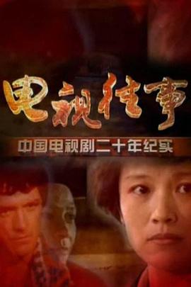 电视往事的海报