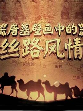 中国大陆纪录片《探索发现：唐墓壁画中的丝路风情》高清下载-八六三纪录片资源网