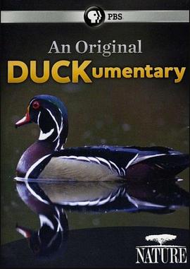 美国纪录片《鸭鸭世界 An Original DUCKumentary》高清下载-八六三纪录片资源网