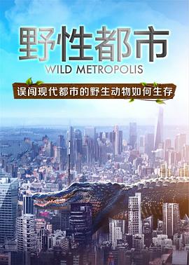 英国，中国大陆纪录片《野性都市 Wild Metropolis》高清下载-八六三纪录片资源网