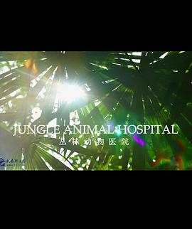 英国纪录片《BBC自然世界 丛林动物医院 Jungle Animal Hospital》高清下载-八六三纪录片资源网