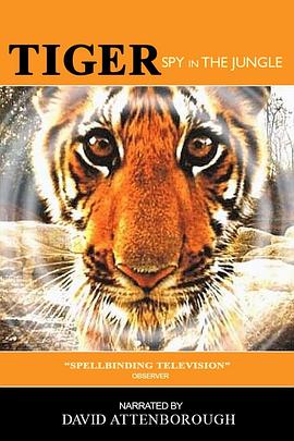 英国纪录片《虎：丛林中窥探 Tiger – Spy in the Jungle》高清下载-八六三纪录片资源网