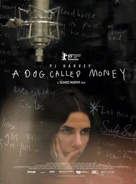 美国，英国，爱尔兰纪录片《一只叫钱的狗 A Dog Called Money》高清下载-八六三纪录片资源网