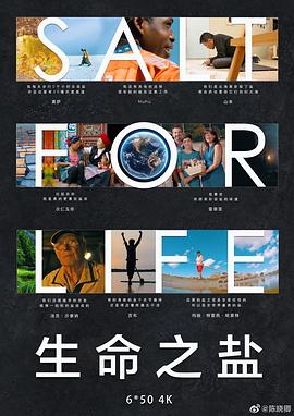 生命之盐的海报