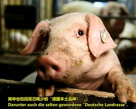 德国纪录片《我们的香肠有多棒？ Wie gut sind unsere Wurstwaren?》高清下载-八六三纪录片资源网
